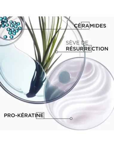 Bain Force Architecte /prendsoinsdetesveuch